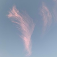 Breather 2 Pack - Single - Bedrooms, Nova & Bobby Deucé