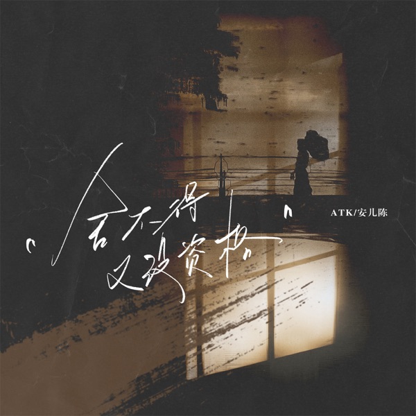 舍不得又没资格 - Single