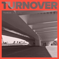 Turnover - Single - Forelock