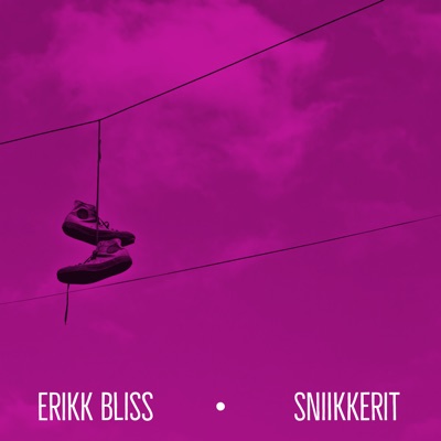 Sniikkerit (feat. Jivefunk) - Single