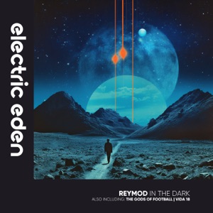 In the Dark - Single