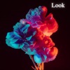 Look (feat. Abandcalledlove.) - Single