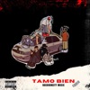 Tamo bien (feat. Alan17, Mteflaii, Lil Kidd, Joni Fresh & McLovin) - Single