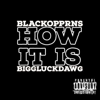 How It Is (feat. BiggLuckDawg) - Single