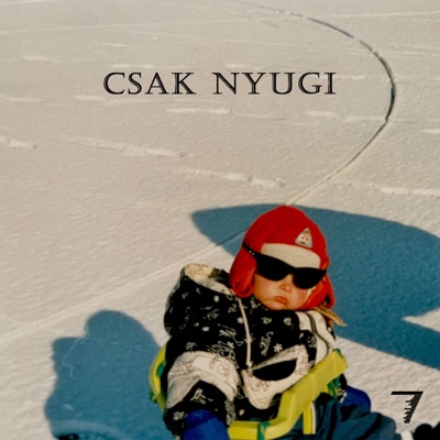 CSAK NYUGI