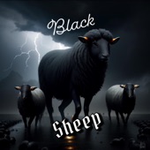 Black Sheep artwork