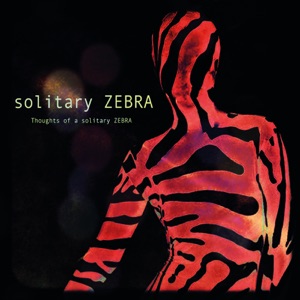 Thoughts of a Solitary Zebra