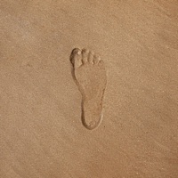 Walk With Me - Single - dawnpatrol