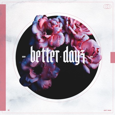 Better Dayz - Single