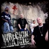 Wreckin Tha Mic - The Album