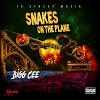 Snakes On the Plane - Single - Bigg Cee