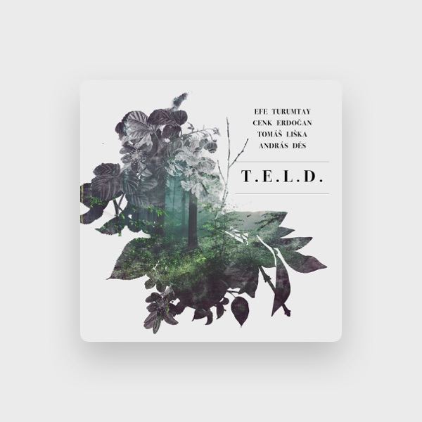 T.E.L.D.'s avatar