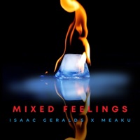 Mixed Feelings (Remix) - Single - Isaac Geralds & Meaku