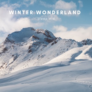 Winter Wonderland Sleep Aid