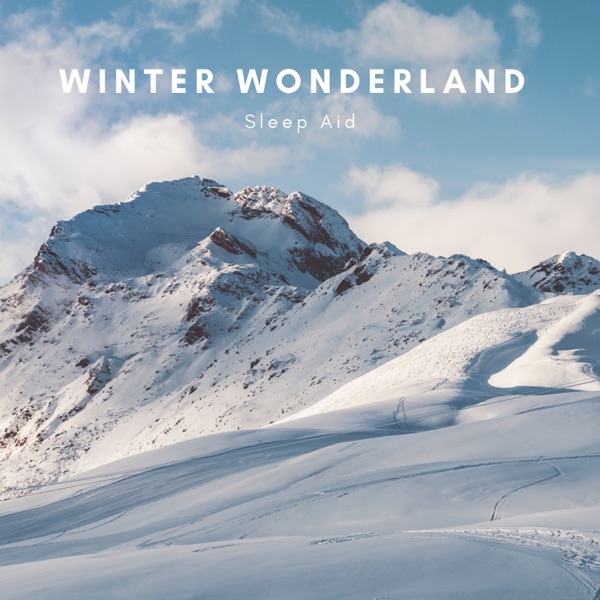 Winter Wonderland Sleep Aid