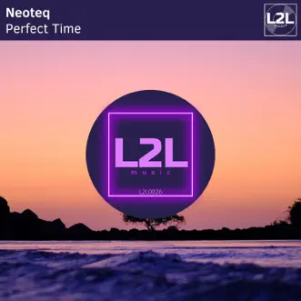 Perfect Time (Instrumental Mix) by Neoteq song reviws