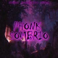 Phonk Sombrio - Single - DJ VILAO DS, MC Mauricio da V.I & Pretão Dj