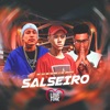 Salseiro - Single