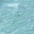 I Won't Leave You