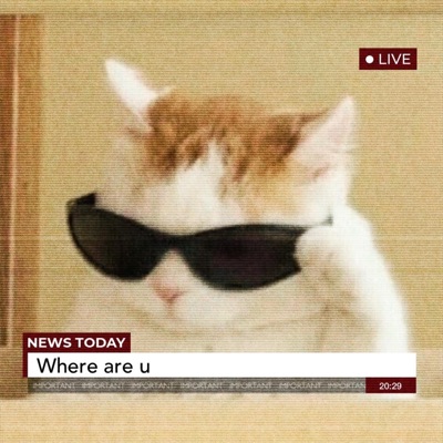 W.R.U (KYU REMIX) - Single