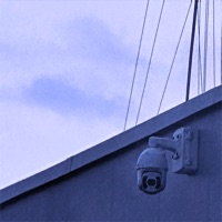 Money - Single - Sifruis, Młodzik & Young Puszek