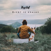 Život je krásný artwork