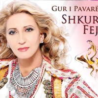 Kosove Nana Ime - Single - Shkurte Fejza