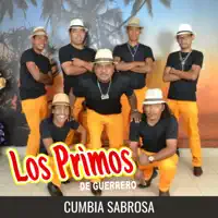 Sones Costenos — Los Primos De Guerrero