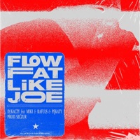 Flow fat like Joe (feat. Dj Kaczy, Miki, Rafuls, Pękaty & Szczur JWP) - Single - Psychopads