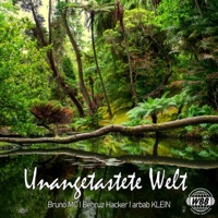 Unangetastete Welt (feat. Bruno MC, Behruz Hacker & arbab KLEIN) - Single - WBB Crew