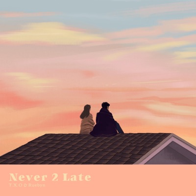 Never 2 Late (feat. Ruebyn) - Single