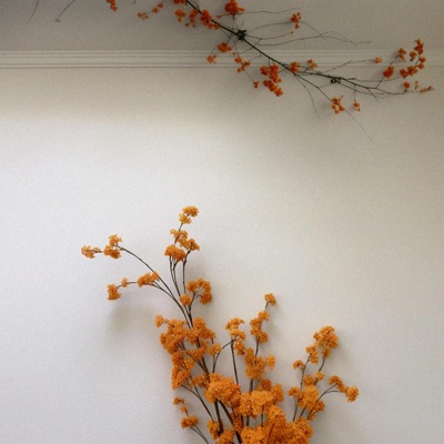 Footprints & Trails - Single