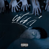 ฝันดี (feat. นายนะ, EQ & BIGFATT) - Single - WZB Wreezedboy