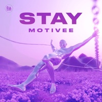 Stay - Single - Motivee