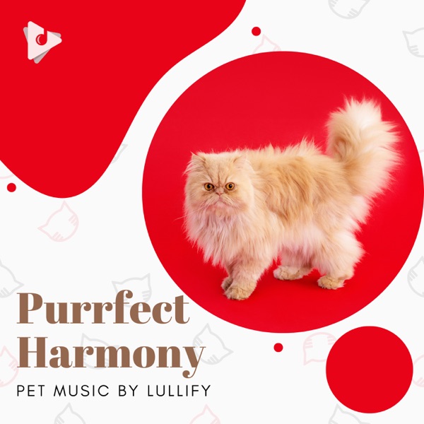 Purrfect Harmony
