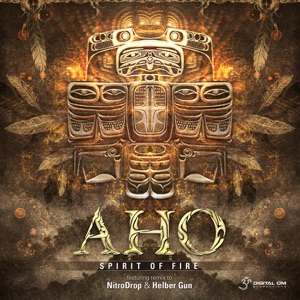 Spirit of Fire - Single