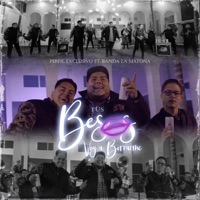 Tus Besos Voy a Borrarme (feat. Banda La Matona de Durango) - Single - Grupo perfil exclusivo
