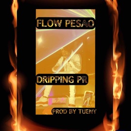 Flow Pesao DrippingPR