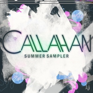 Summer Sampler - Single