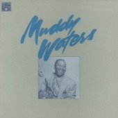 Muddy Waters - My Love Strikes Like Lightning