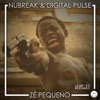 NuBreak & Digital Pulse