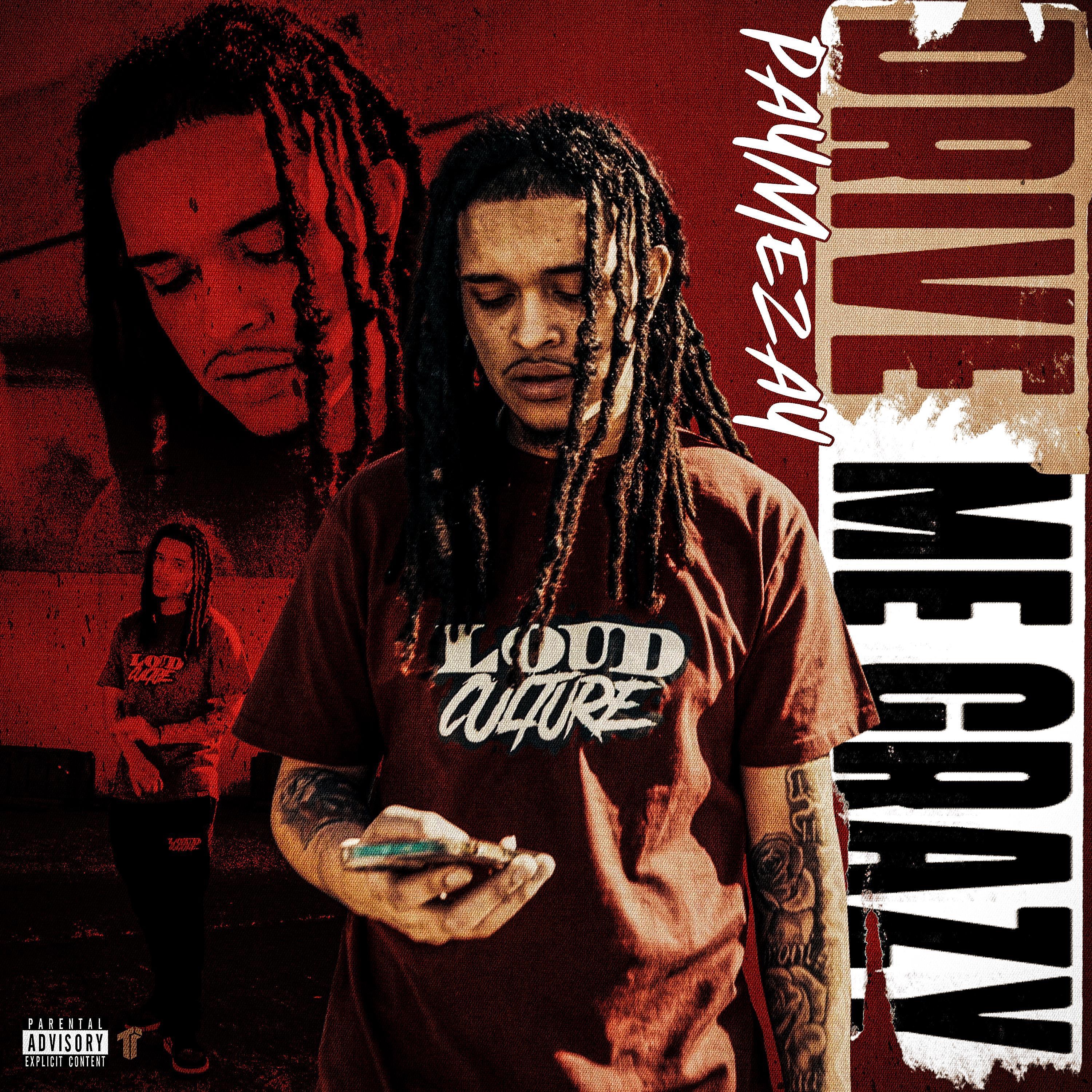 Drive Me Crazy - Single