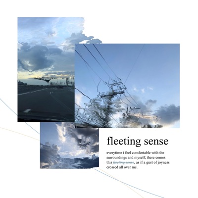 Fleeting Sense - Single