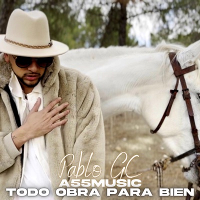 Todo obra para bien (feat. ASS Music) - Single