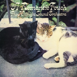A Romantic Touch (2021 Remastered Version)
