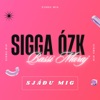 SJÁÐU MIG (feat. Bassi Maraj) - Single