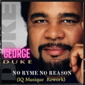 No Ryme No Reason (IQ Musique Rework) artwork