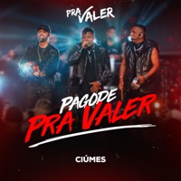 Ciúmes (Ao Vivo) - Single - Pra Valer