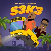 S3k3 (feat. Medikal) artwork