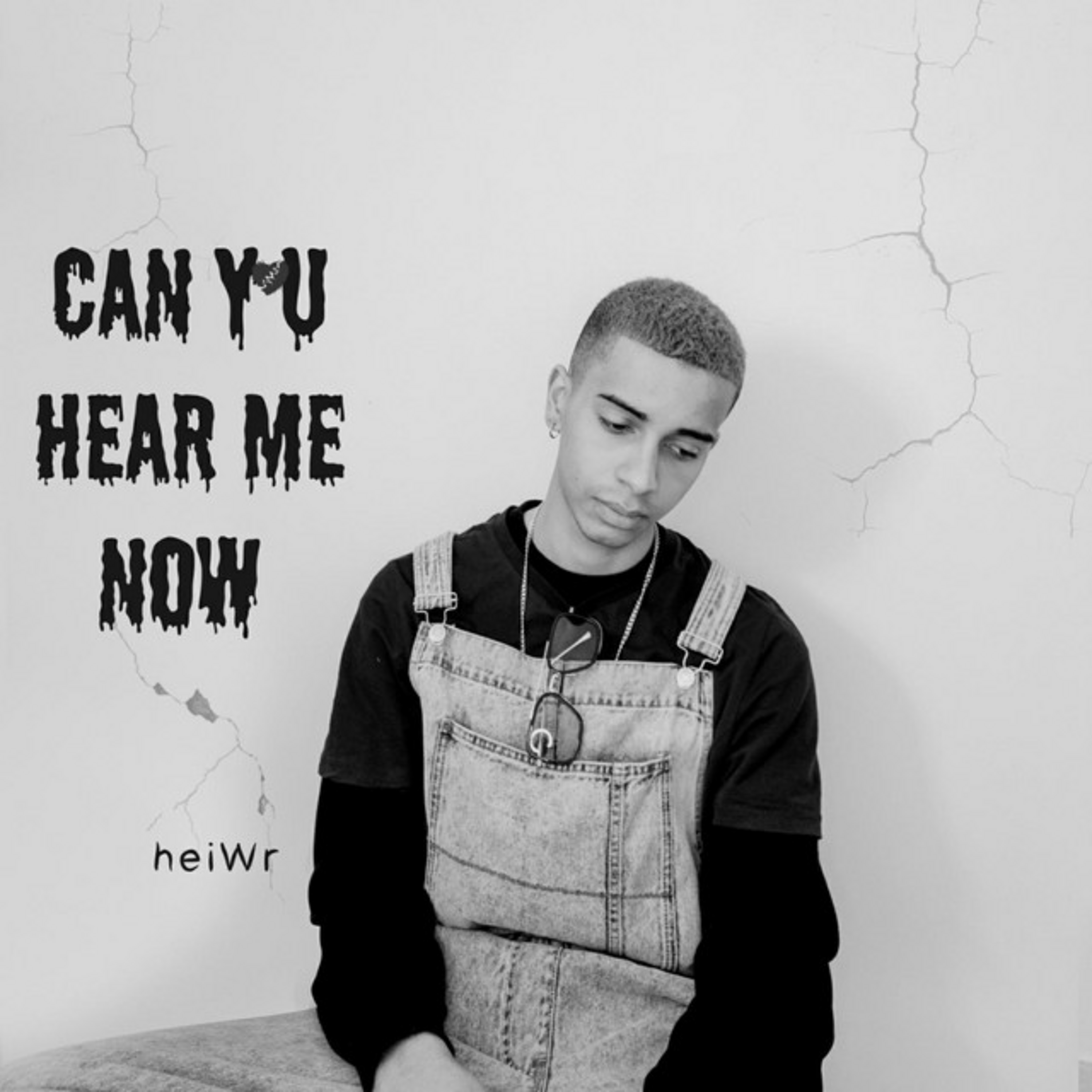Can You Hear Me Now - Single